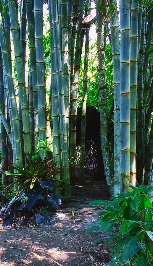 Cantalarana Lodge ミンド エクステリア 写真