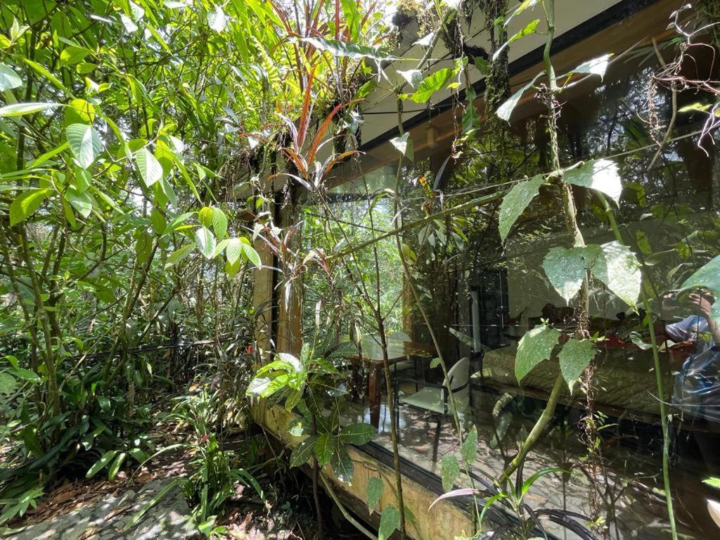 Cantalarana Lodge ミンド エクステリア 写真