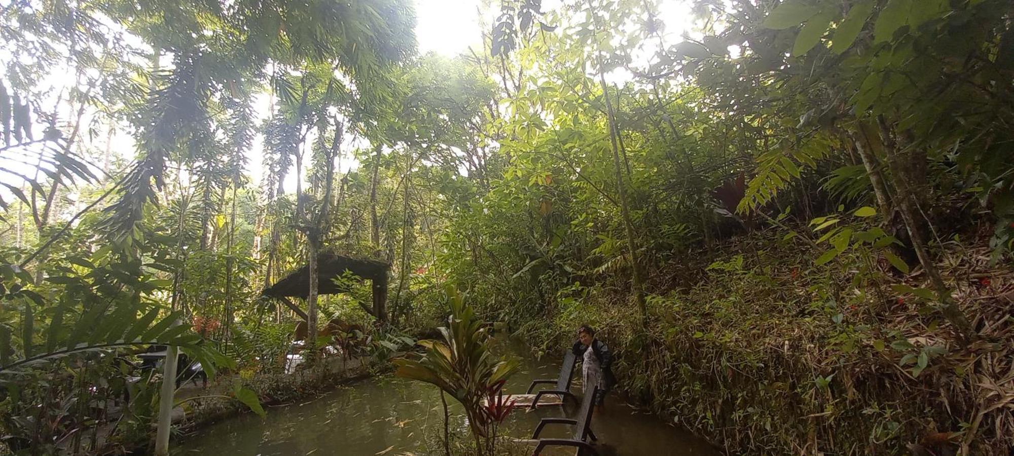 Cantalarana Lodge ミンド エクステリア 写真