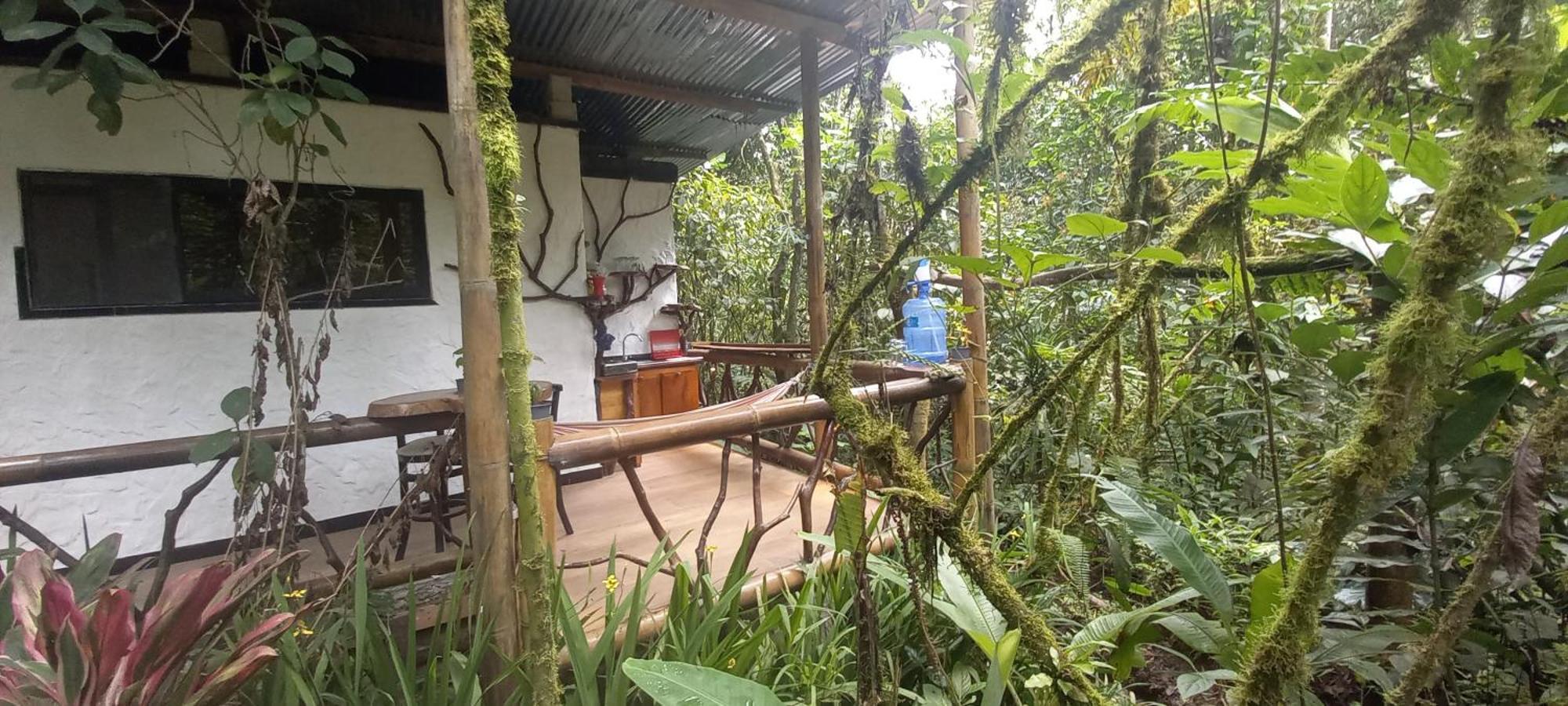 Cantalarana Lodge ミンド 部屋 写真